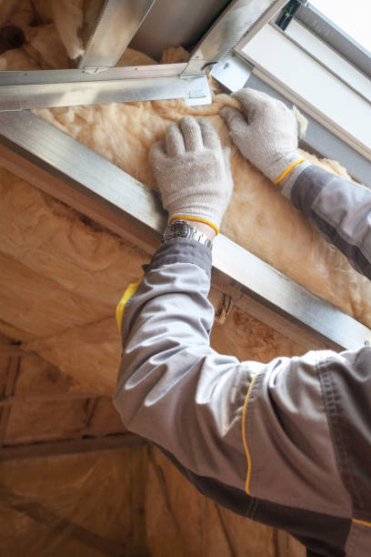 Types of Insulation We Offer in Town And Country, WA