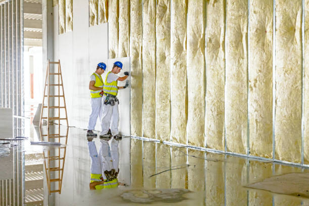 Best Energy Efficiency Insulation in Town And Country, WA